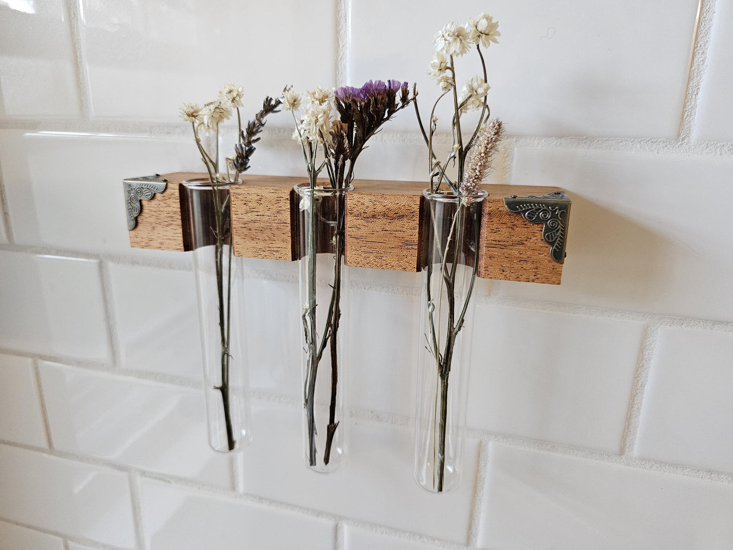 The Plant Beam - Decorative Starter Kit for Plant Propagation