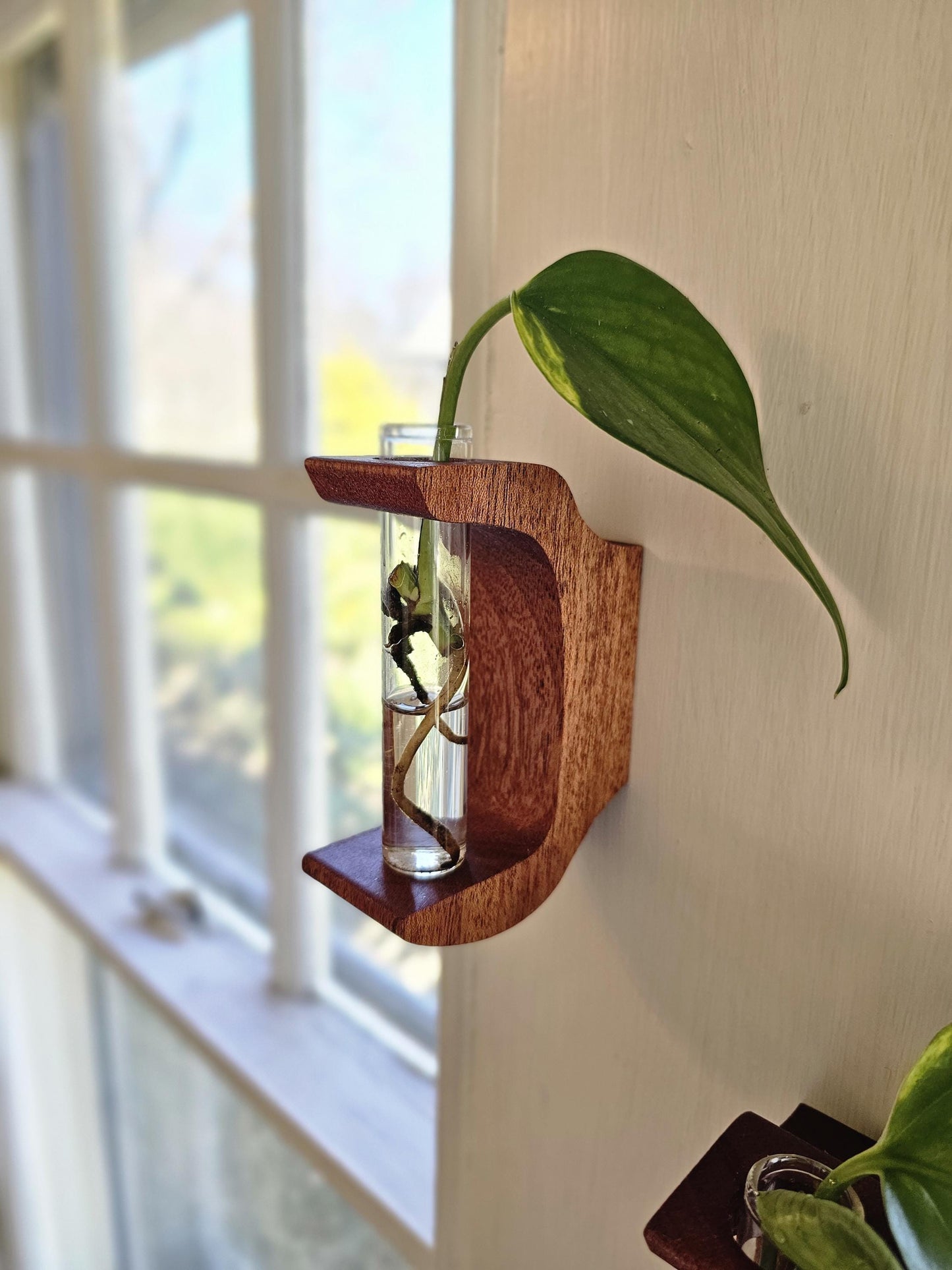 Antler Style Propagation Station Set of 3 Wall Hangers