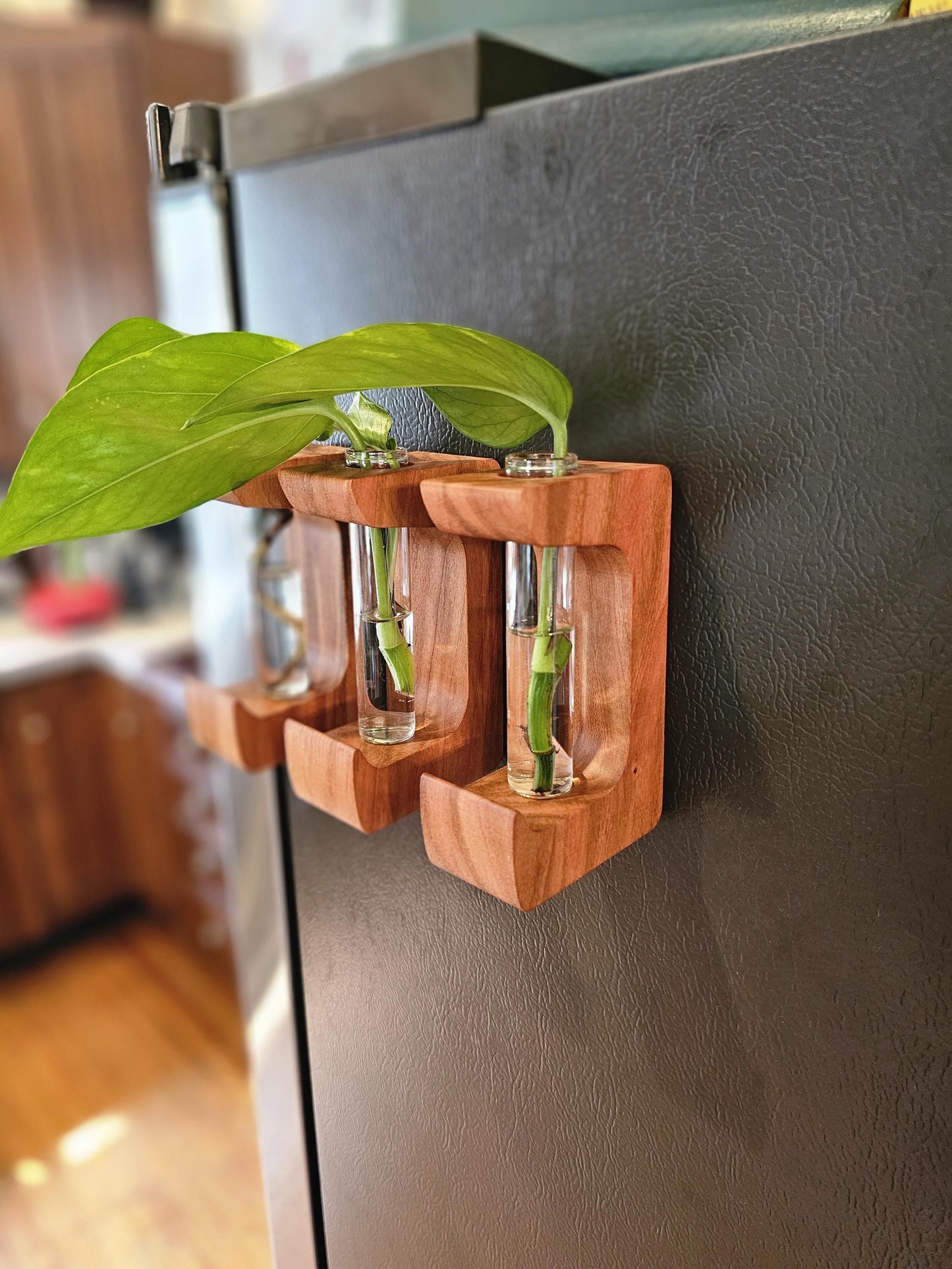 Magnetic Propagation Hanger Starter Gift Set