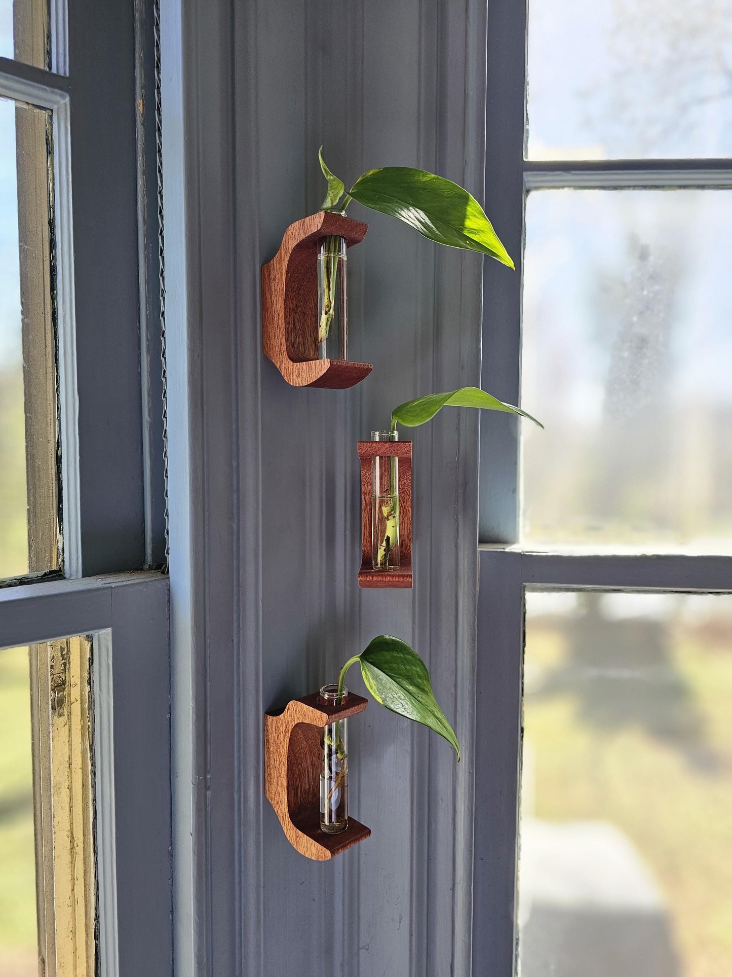 Antler Style Propagation Station Set of 3 Wall Hangers