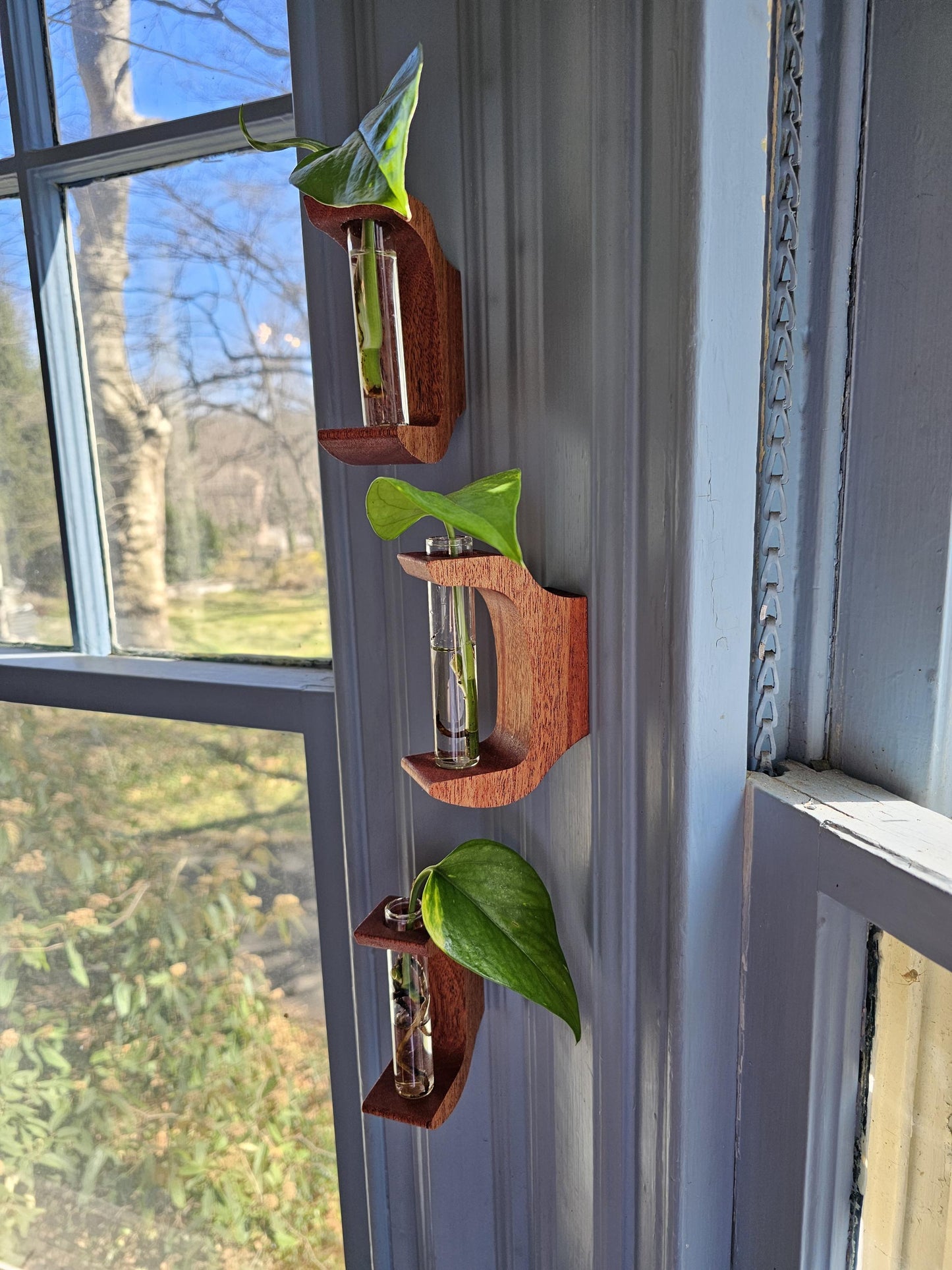 Antler Style Propagation Station Set of 3 Wall Hangers