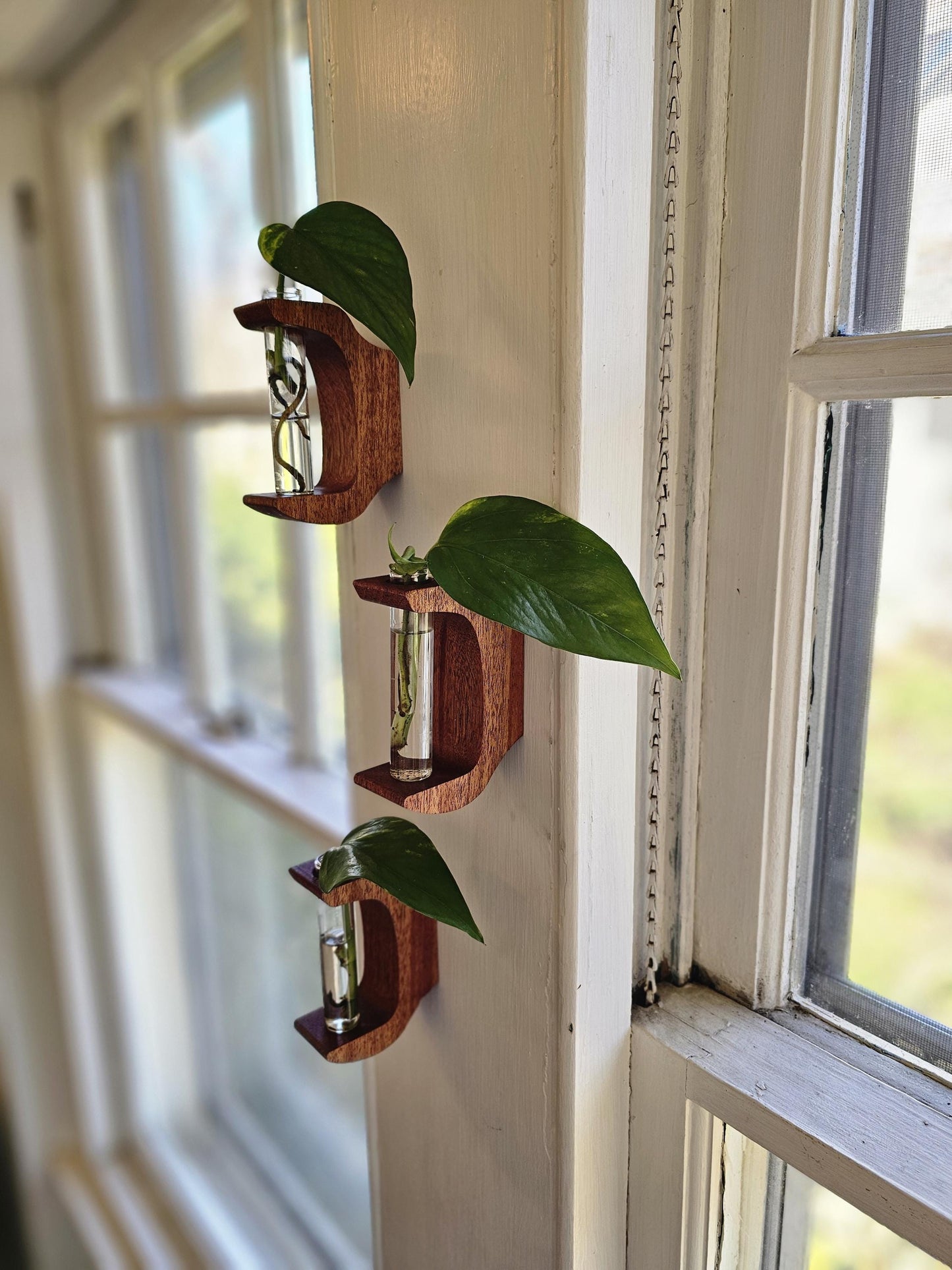 Antler Style Propagation Station Set of 3 Wall Hangers