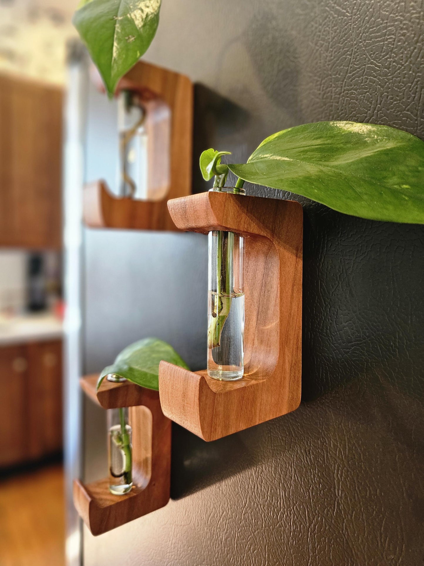 Magnetic Propagation Hanger Starter Gift Set