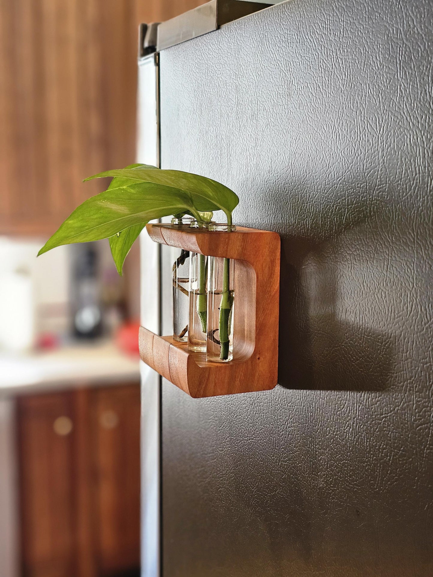Magnetic Propagation Hanger Starter Gift Set