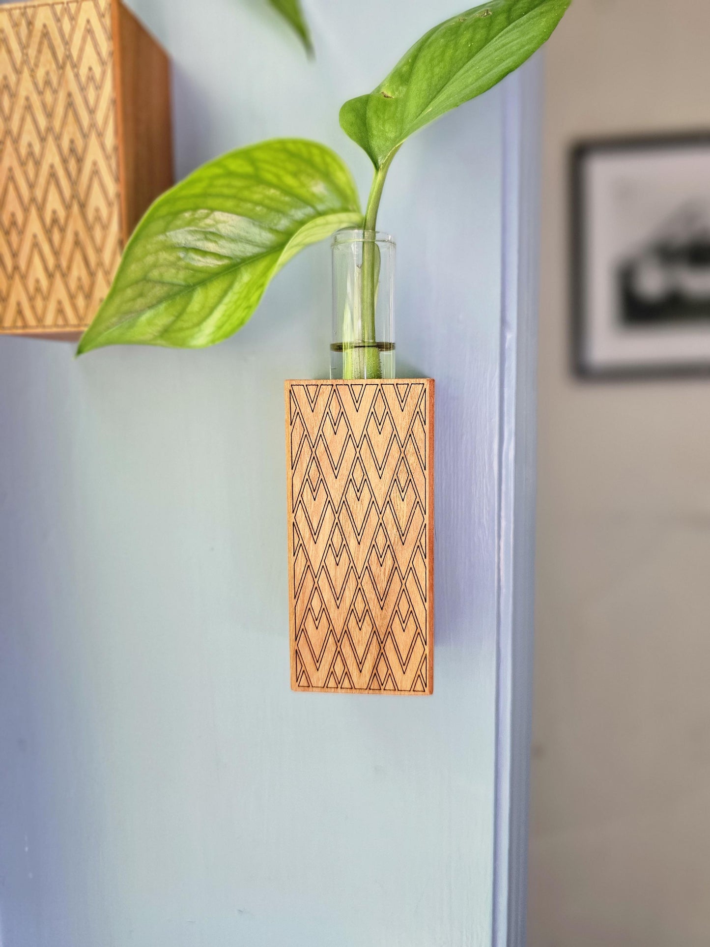 Art Deco 4 Pack Propagation Wall Hangers for Plants