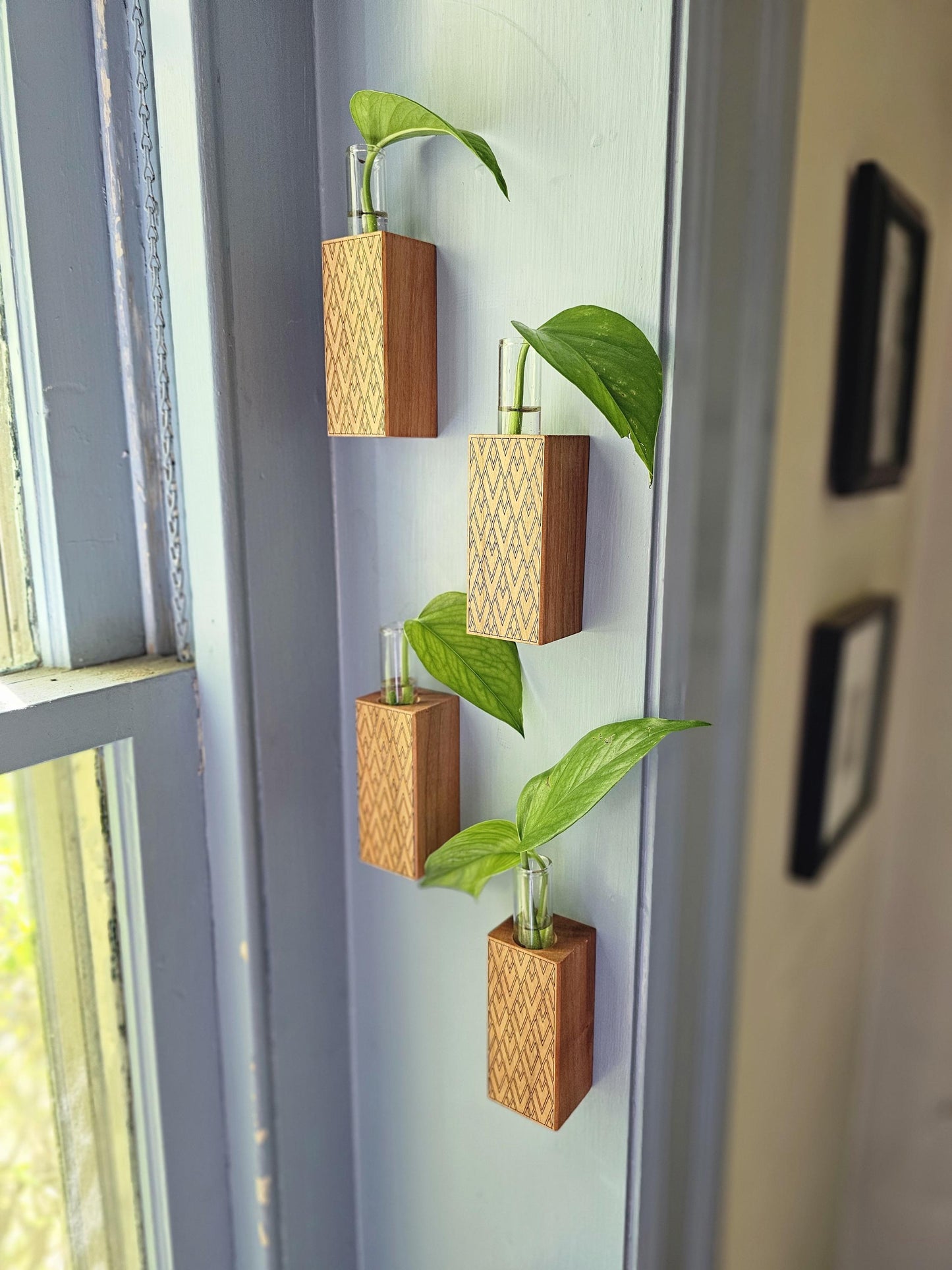 Art Deco 4 Pack Propagation Wall Hangers for Plants