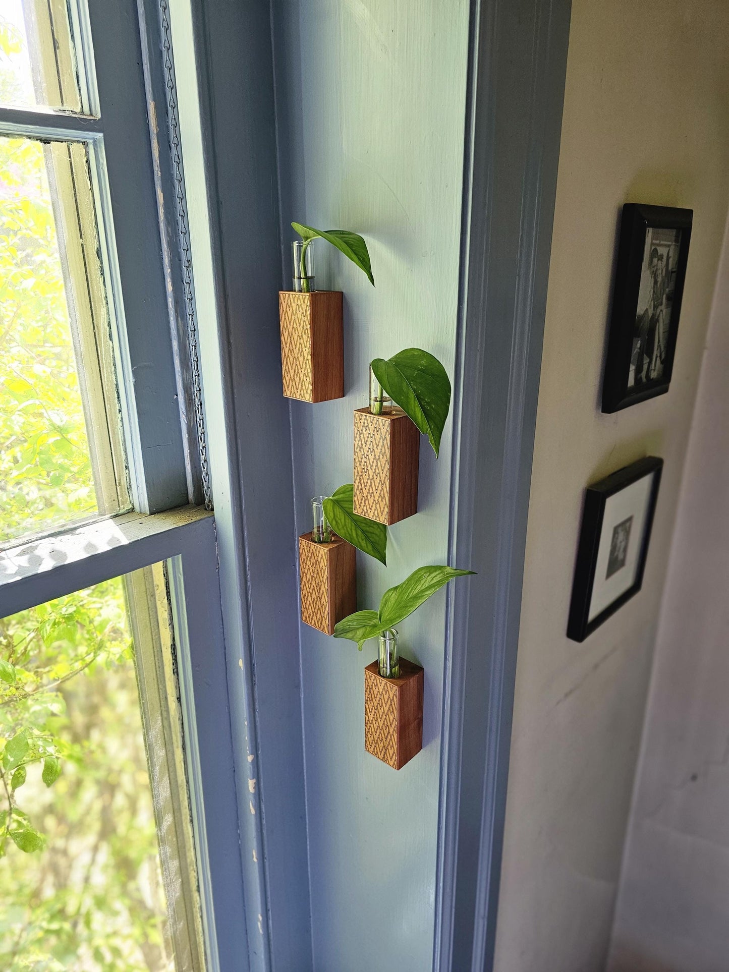 Art Deco 4 Pack Propagation Wall Hangers for Plants