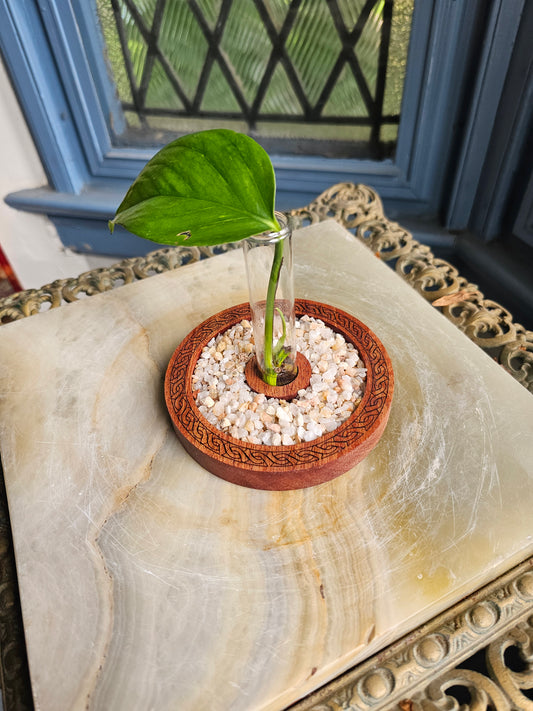 Celtic Propagation Station Kit for Starter Plants