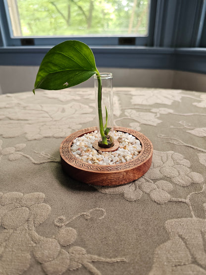 Celtic Propagation Station Kit for Starter Plants
