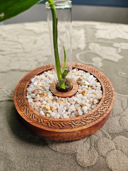 Celtic Propagation Station Kit for Starter Plants