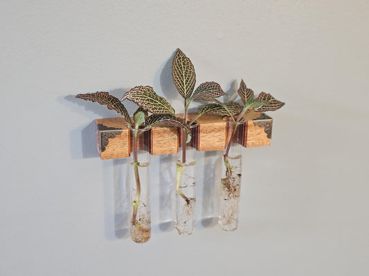 The Plant Beam - Decorative Starter Kit for Plant Propagation