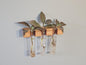 The Plant Beam - Decorative Starter Kit for Plant Propagation