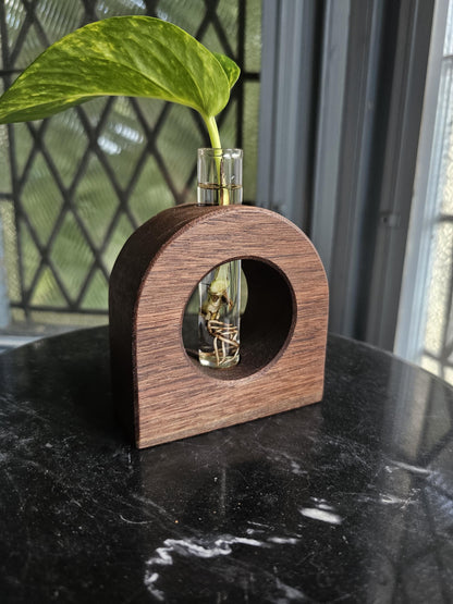 Lunar Crescent Plant Propagation Vessel