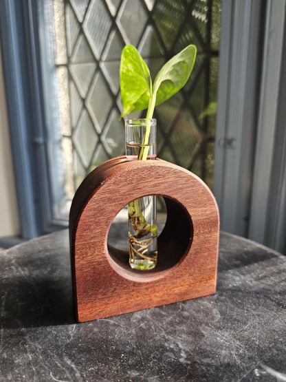 Lunar Crescent Plant Propagation Vessel