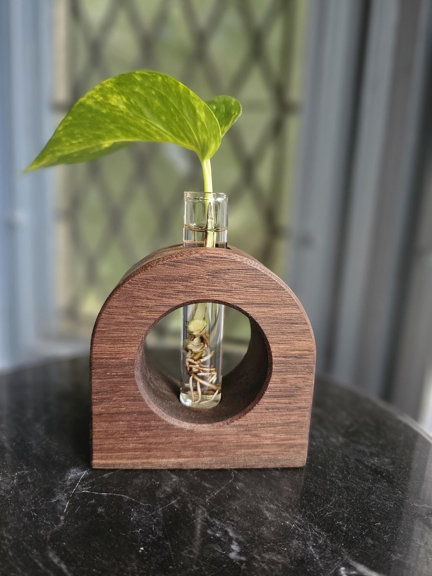 Lunar Crescent Plant Propagation Vessel