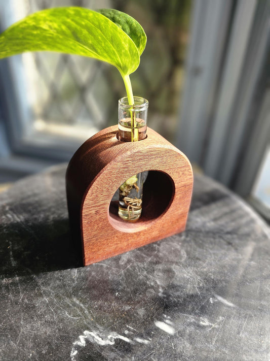 Lunar Crescent Plant Propagation Vessel