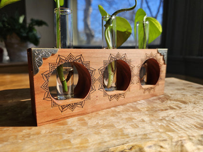 Vintage Sun Ray Propagation Starter Kit for Plants and Houseplant Cuttings