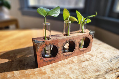 Vintage Sun Ray Propagation Starter Kit for Plants and Houseplant Cuttings