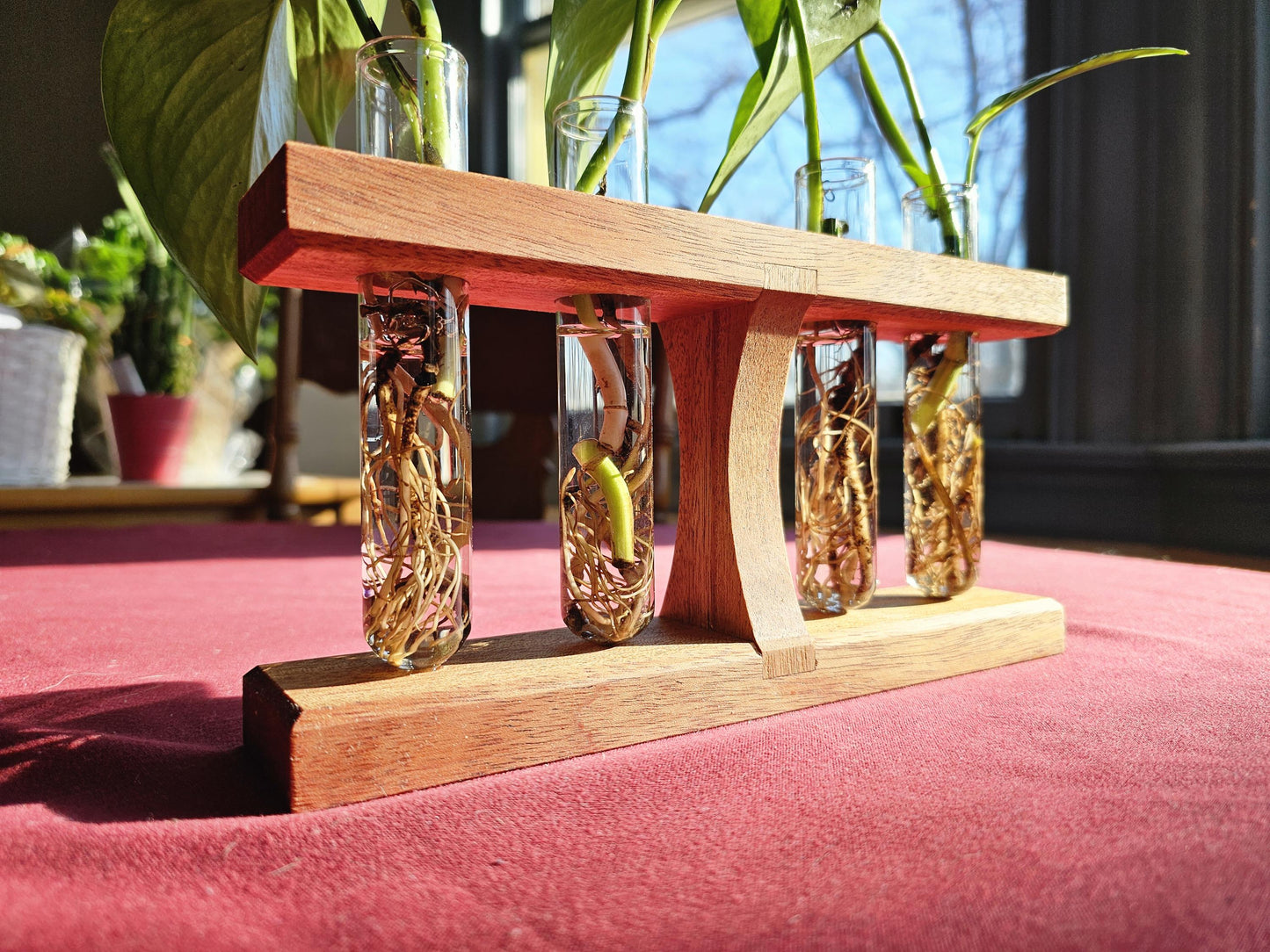 The Hourglass - A Shaker Inspired Propagation Station