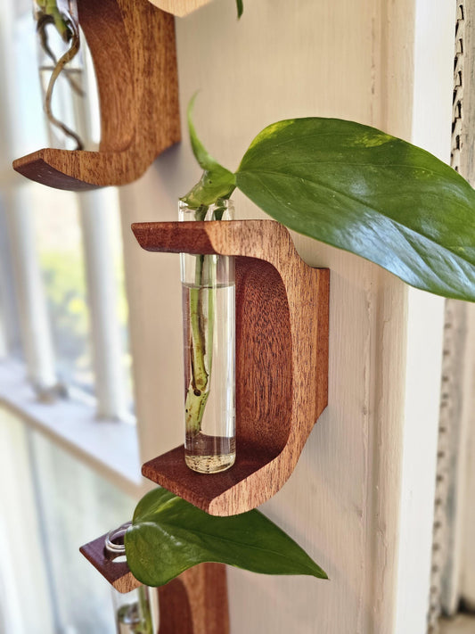 Antler Style Propagation Station Set of 3 Wall Hangers