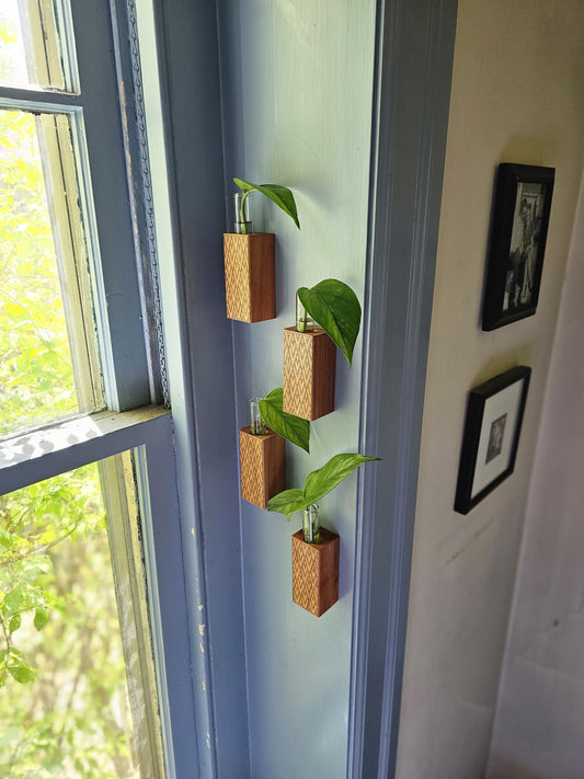 Art Deco 4 Pack Propagation Wall Hangers for Plants