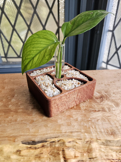 Rooted Zen Garden Decorative Plant Propagation Station