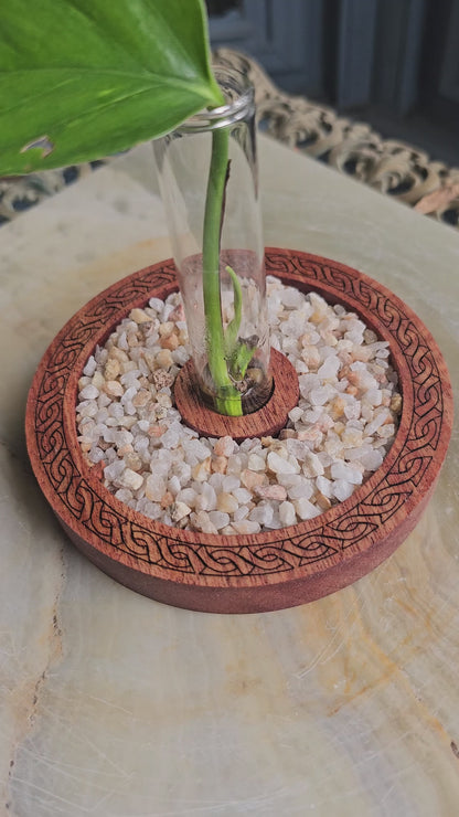 Celtic Propagation Station Kit for Starter Plants