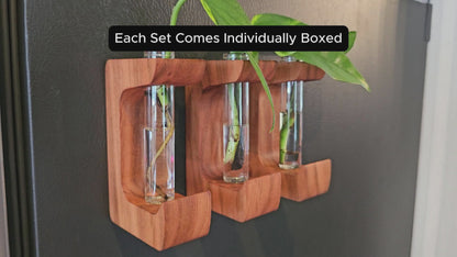 Magnetic Propagation Hanger Starter Gift Set