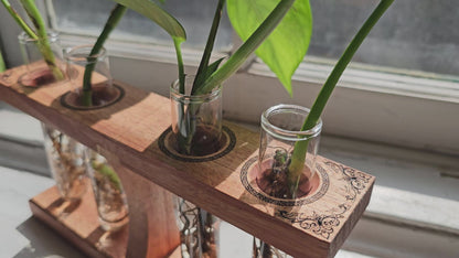 The Hourglass - A Shaker Inspired Propagation Station